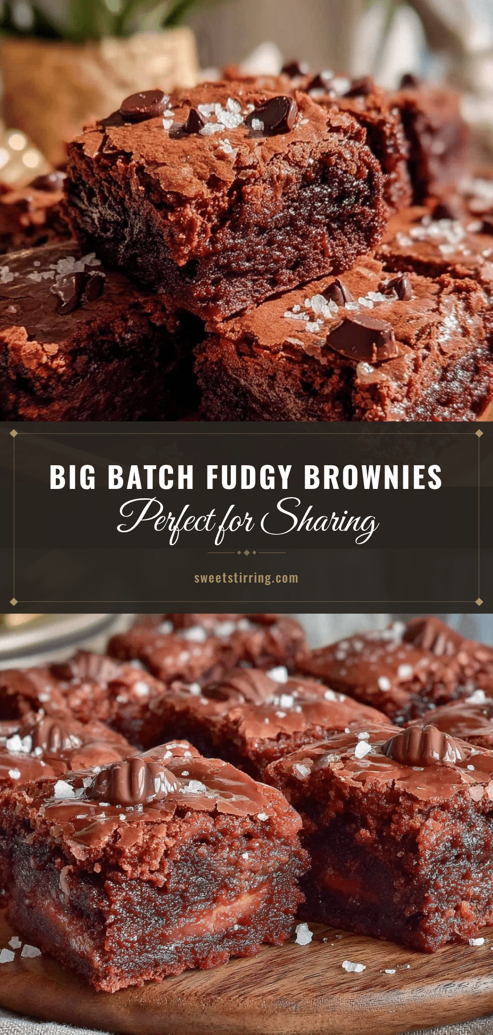 cozy bulk friendly brownies recipe