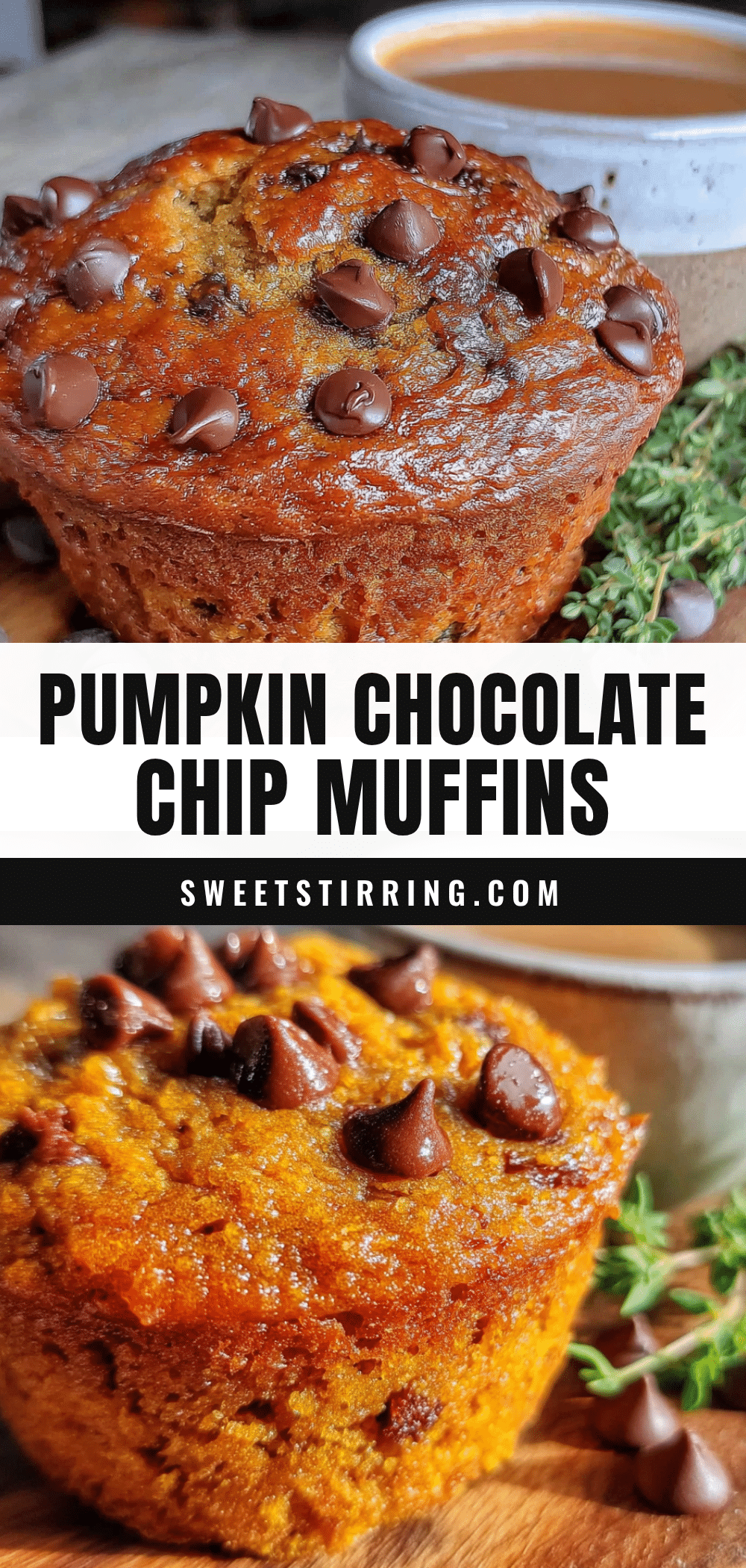 small-batch pumpkin chocolate chip muffins recipe
